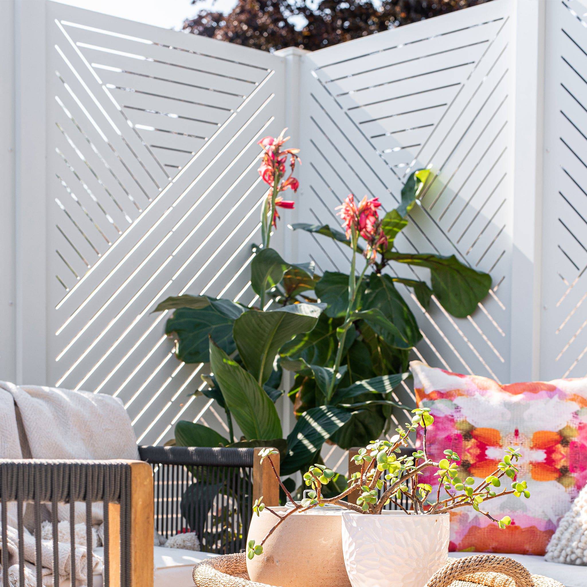 Privacy Screen (Hexx)