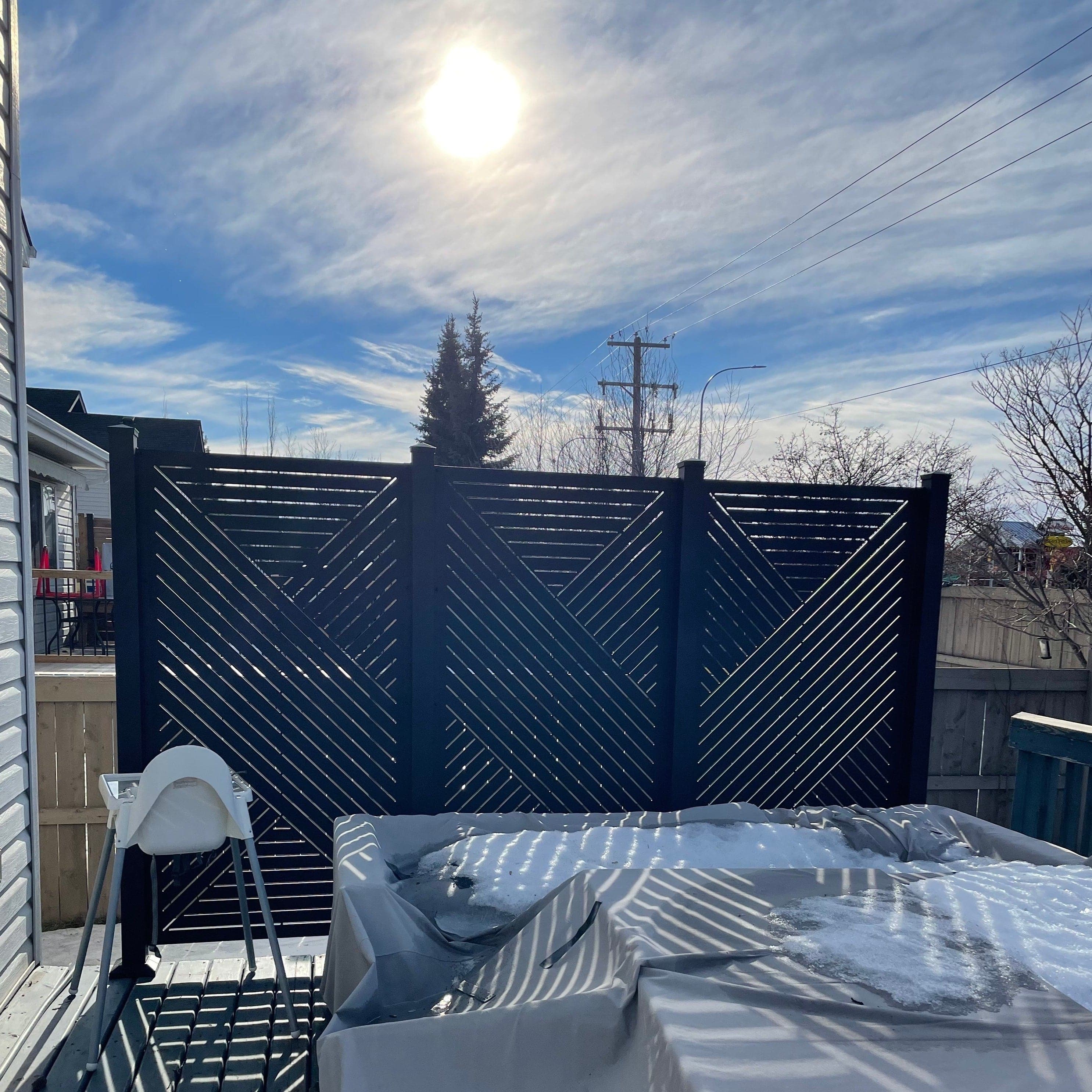 Privacy Screen (Hexx)