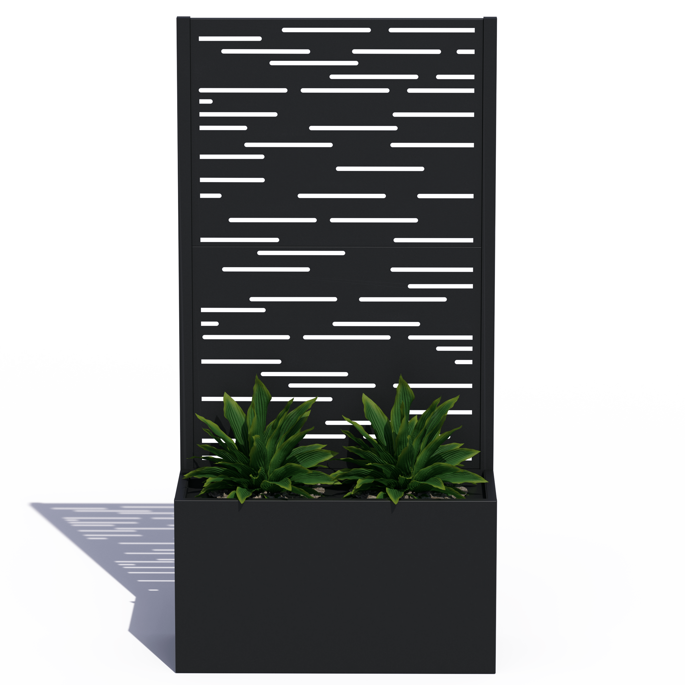 Privacy Planter (Dash)